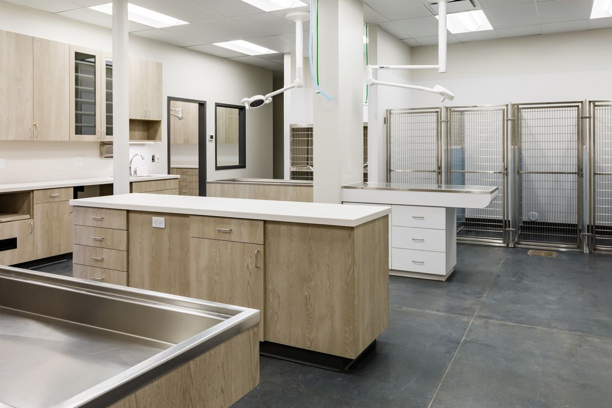 Millwork by J&M Custom Cabinet Shop at Montclair Animal Clinic, Denver, Colorado